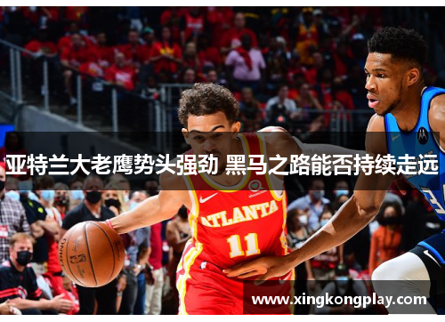 亚特兰大老鹰势头强劲 黑马之路能否持续走远