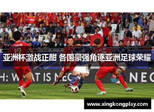 亚洲杯激战正酣 各国豪强角逐亚洲足球荣耀