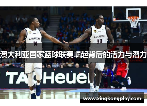 澳大利亚国家篮球联赛崛起背后的活力与潜力